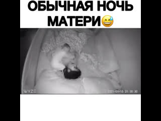 this is how new mothers sleep